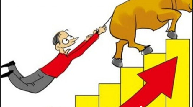 番禺股票配资 ,日发精机：截至2024年2月26日前十大流通股东持股占比3011%