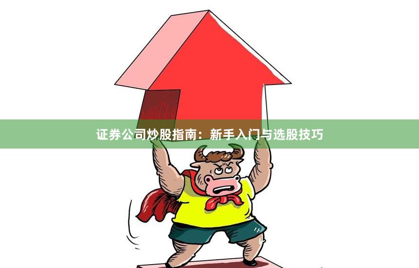 证券公司炒股指南：新手入门与选股技巧