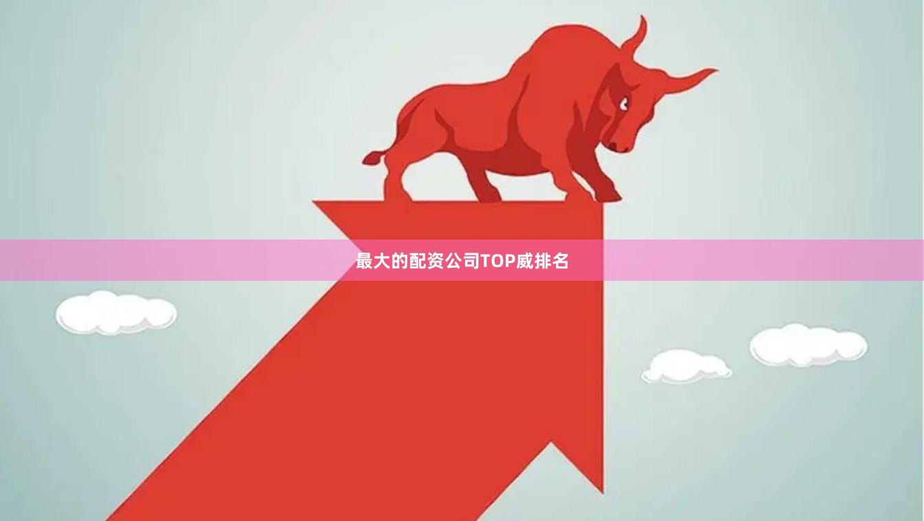 最大的配资公司TOP威排名